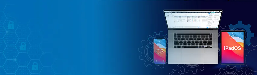 iPadOS vs. iOS: What’s the Difference and Why It Matters?