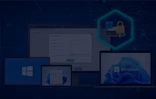 Windows BitLocker Management