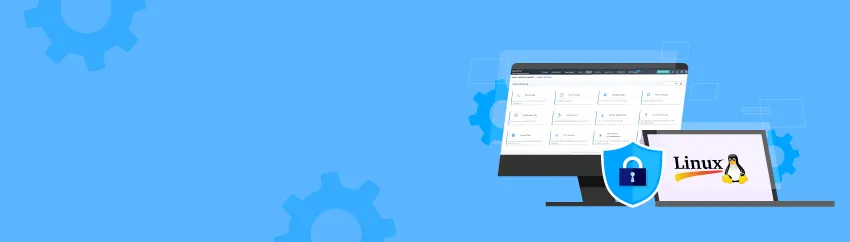 Beyond Root: Sudo Access for Granular Admin Control in Linux Devices Using SureMDM