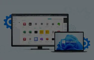 3rd Party App Management for Windows