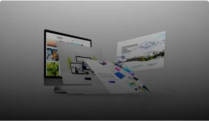 Developer Portal