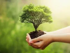 World Environment Day Celebration