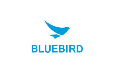 bluebird